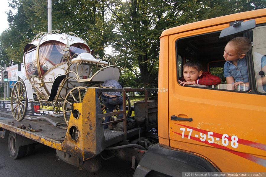 "Пропуская пешеходов": фоторепортаж "Нового Калининграда.Ru"