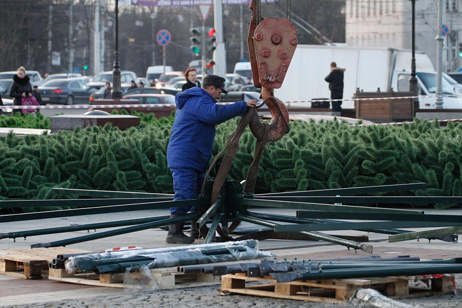 "Много на ёлочке шариков цветных": фоторепортаж "Нового Калининграда.Ru"