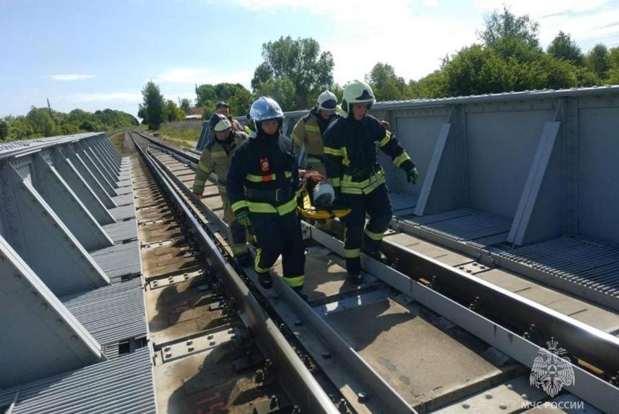 Под Гусевом локомотив сбил пенсионера, переходившего ж/д пути в неположенном месте (фото)