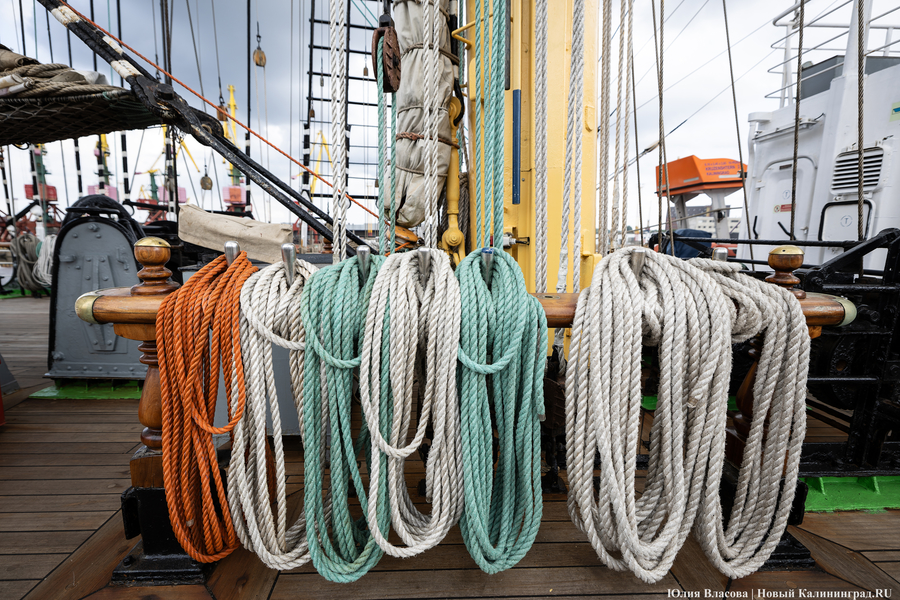 Там будет «Крузенштерн»: в Калининграде стартовала Большая африканская экспедиция