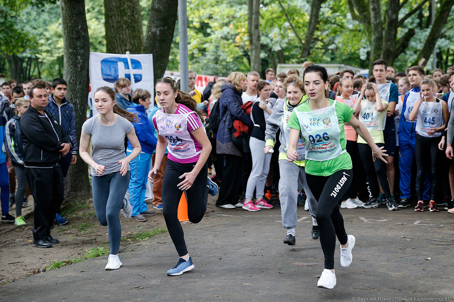Все бежали, и я побежал: как прошел «Кросс наций» в Калининграде (фото)