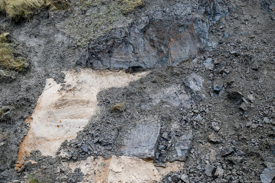 Виталий Невар / Новый Калининград