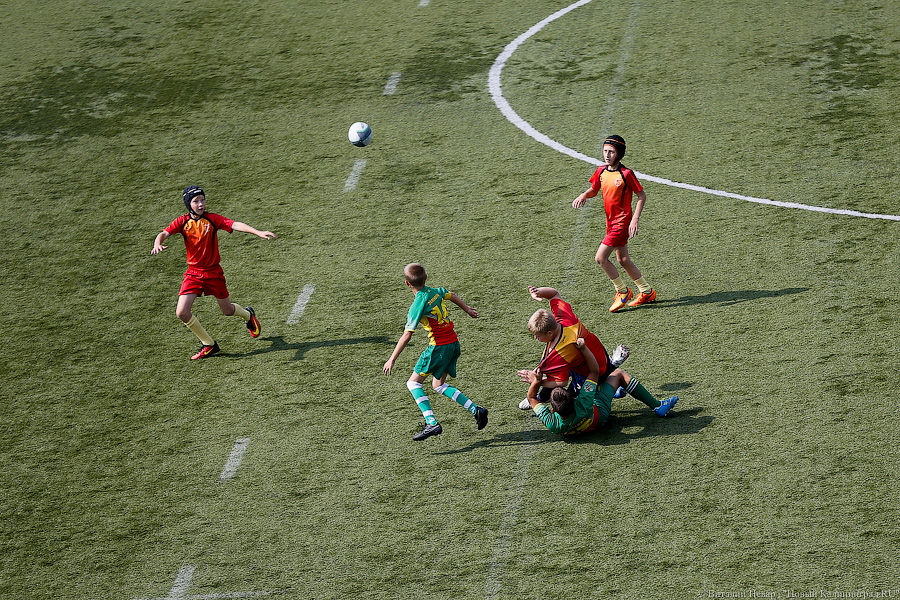 С овальным мячом: как в Калининграде прошёл турнир по регби (фото)