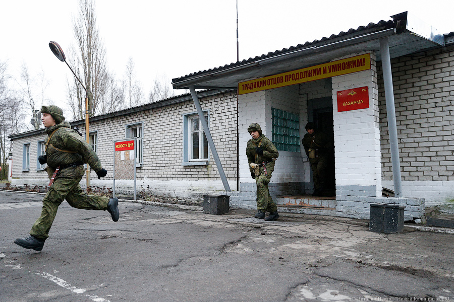 Никитин: от калининградцев поступило больше сотни жалоб по вопросам мобилизации и СВО