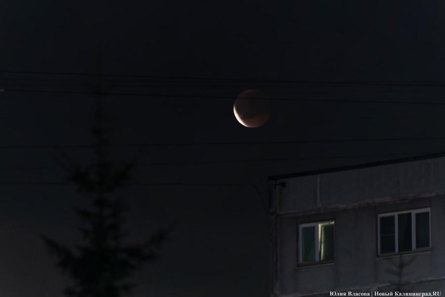 7 сентября: лунное затмение 