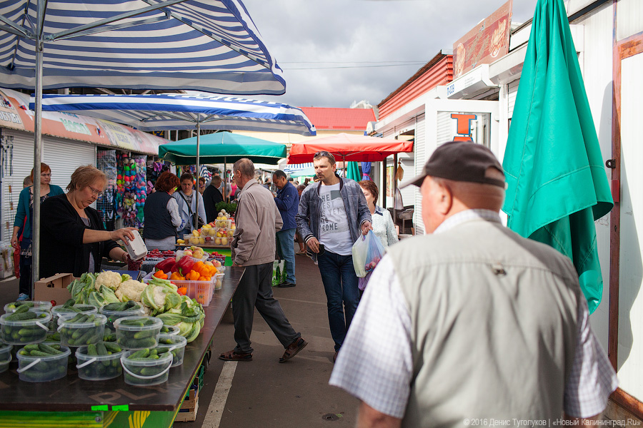 Треска из Пионерского, лещ из Полесска: что такое калининградская кухня