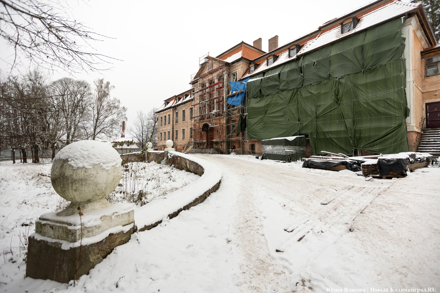 Фото: Юлия Власова / Новый Калининград