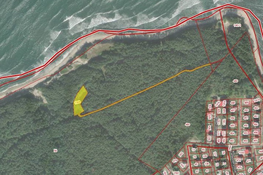 Зеленоградские власти просят Росморпорт не строить башню-маяк в лесу у Заостровья