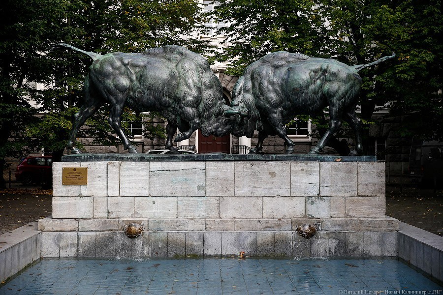 Калининград принимает в собственность «Борющихся зубров» и памятник Шиллеру