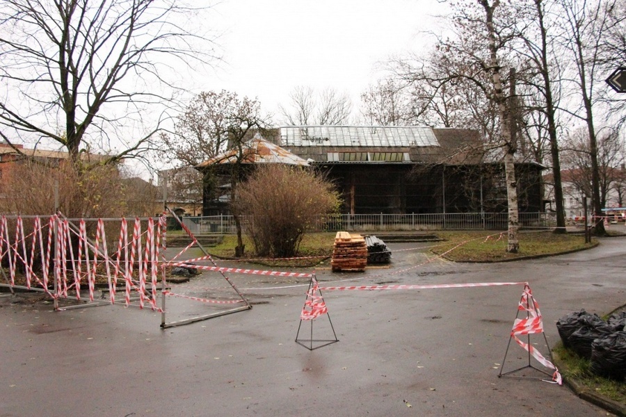 Фото предоставлено калининградским зоопарком