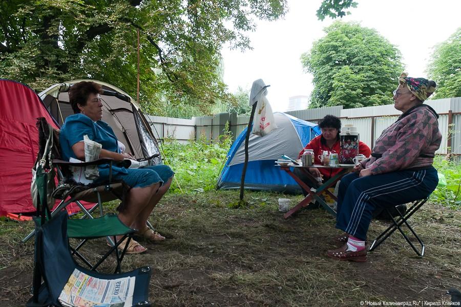Пила vs. палатка: фоторепортаж "Нового Калининграда.Ru"