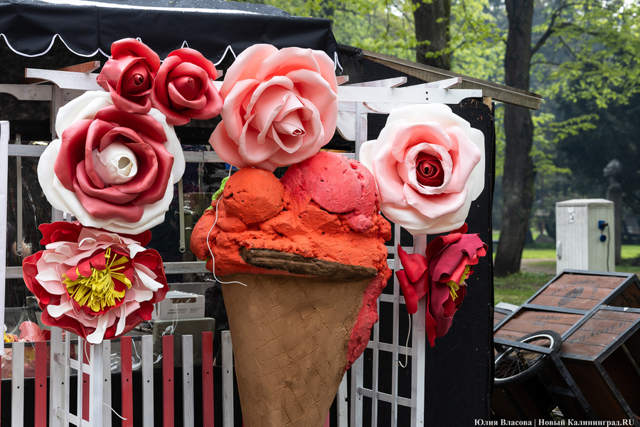 Прикидываясь Кантом: у Кафедрального собора открылась ярмарка (фото)