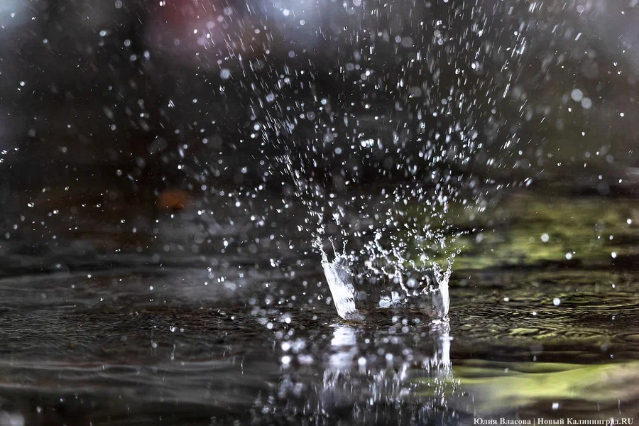 Облачно с прояснениями: погода в Калининградской области 29 марта