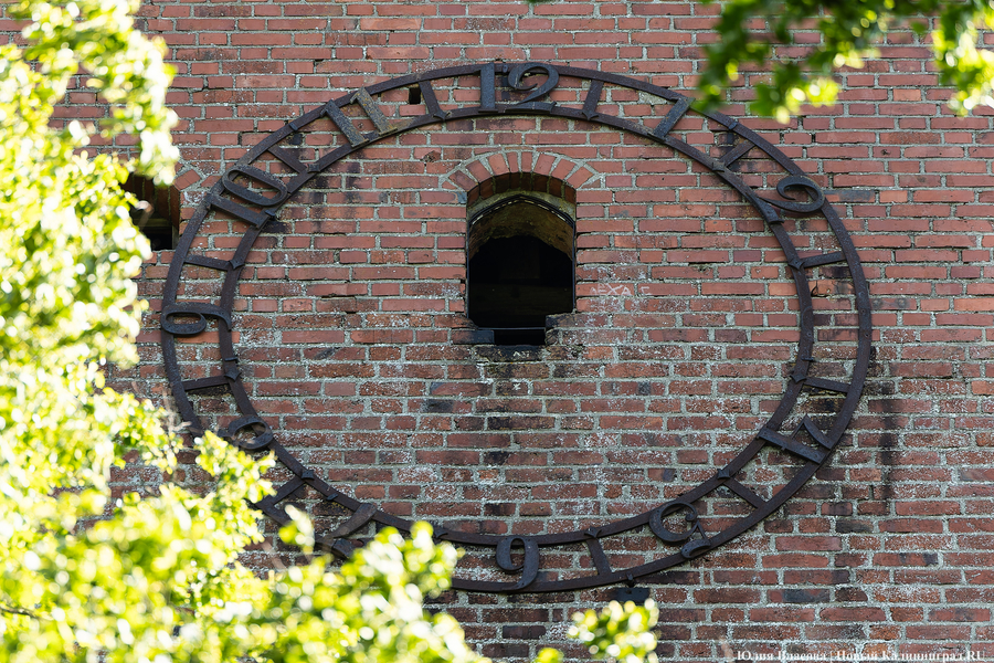 «Готическое Кольцо» старинных кирх: как прошло путешествие по новому маршруту (фото)