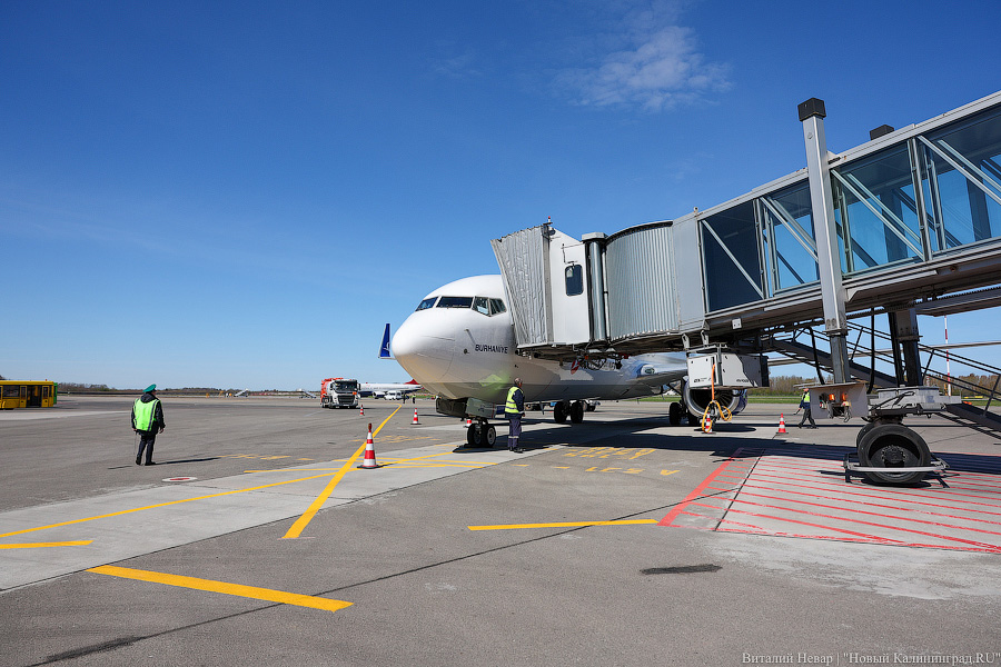 Нужен берег турецкий: из Калининграда вылетел первый чартер Turkish Airlines в Анталью (фото)