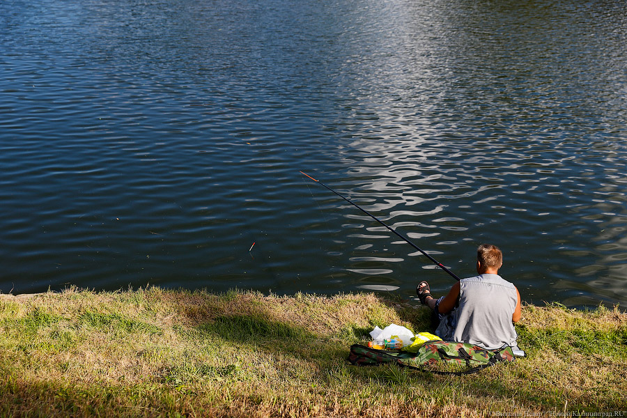 Горвласти обещают подумать над тем, чтобы увеличить число пляжей на Голубых озерах