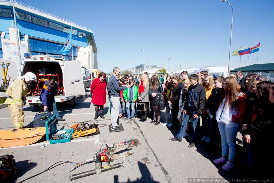 Жизнь как главный проект: выставка «PRO Ярмарка образования» в Калининграде