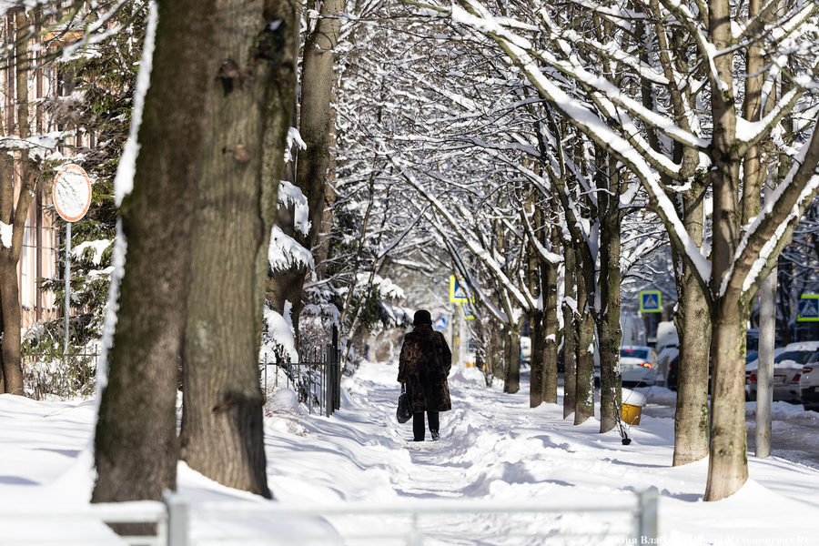 Зима не сдаётся: как выглядят улицы Калининграда после «снежного удара» (фото)
