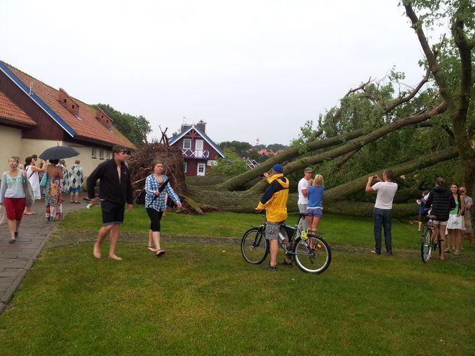 Шторм в Литве: на пляже Ниды ветер поднял в воздух коляску с ребенком (фото)