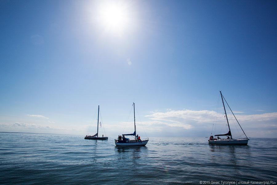 Венки на воде: калининградские яхтсмены отдали дань памяти морякам-балтийцам