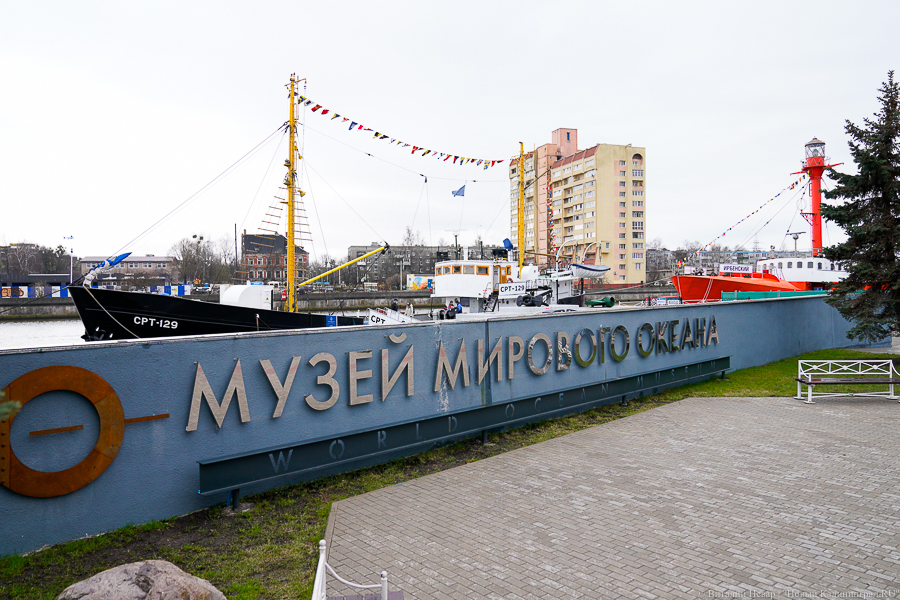 Фото: Виталий Невар / Новый Калининград