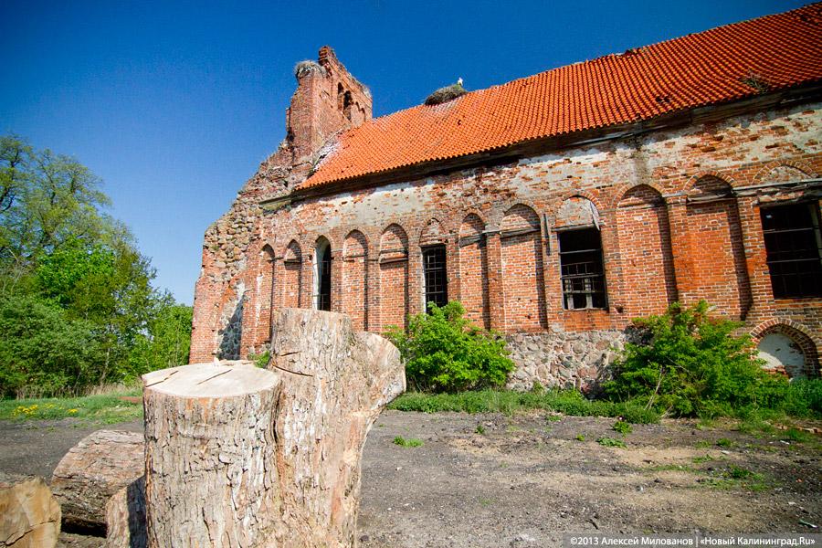 «Фрески и аисты»: вокруг кирхи в посёлке Кумачево идёт судебная тяжба