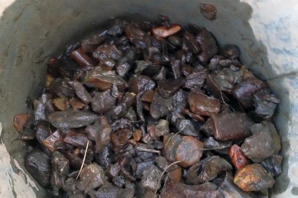 Полиция задержала 25 «черных копателей» янтаря под Зеленоградском (фото)