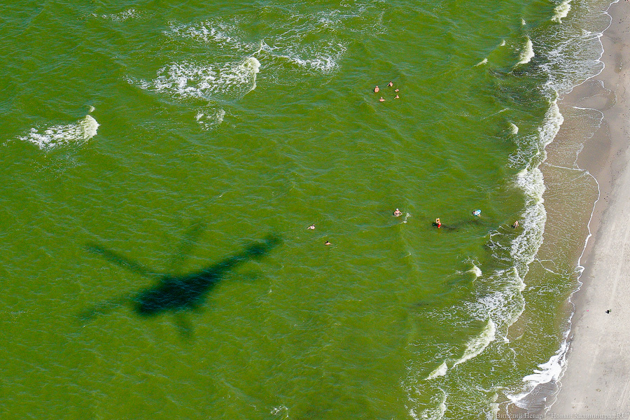 В Балтийске готовятся ко Дню ВМФ. Посмотрите на парад кораблей с высоты (фото)