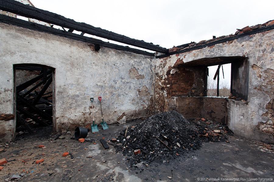 «Шаакен, волонтеры и кот Воровай»: фоторепортаж «Нового Калининграда.Ru»