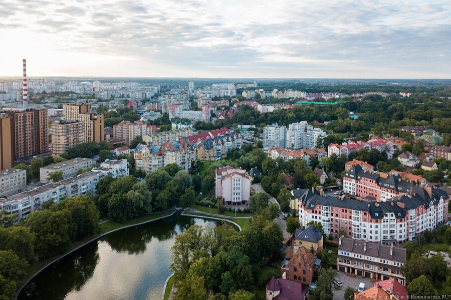 Виталий Невар / Новый Калининград 