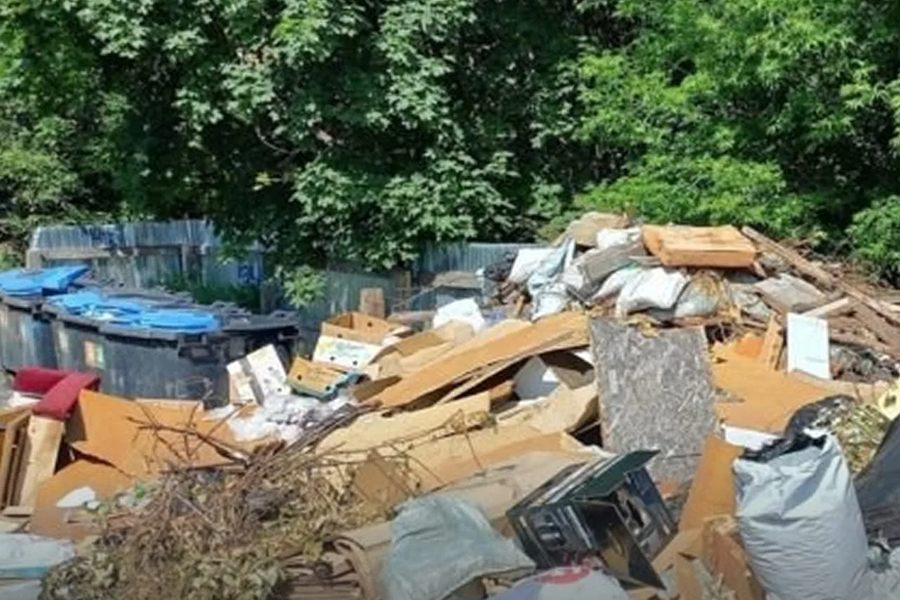 Предприниматель из Калининградской области возместил 3 млн экологического ущерба