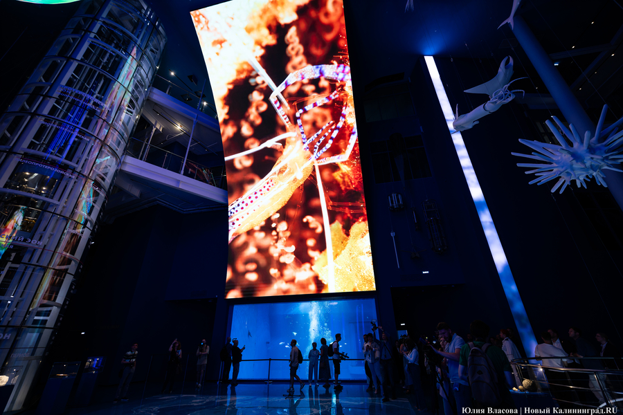 Музей-корабль, музей-планета: экскурсия по корпусу-шару «Планета Океан»