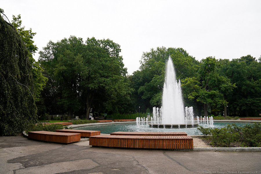 Жаба, гадюка и другие: в зоопарке открылся террариум после ремонта (фото)