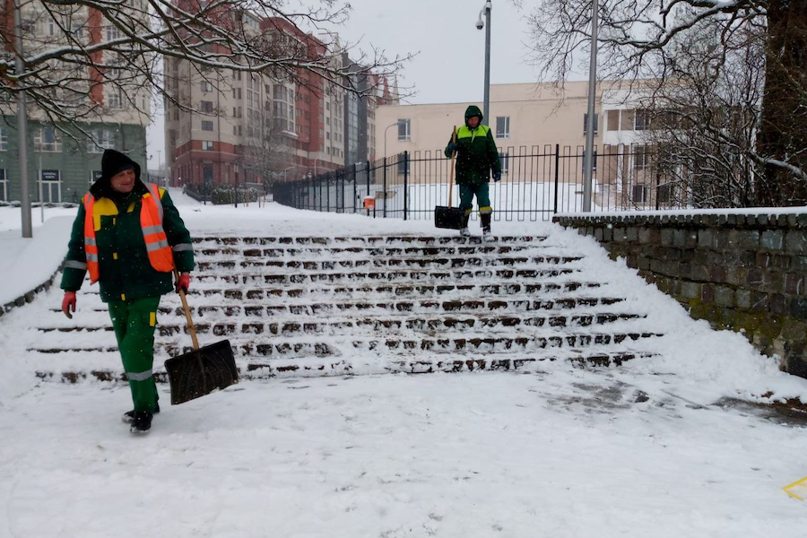 «Быстро привести в порядок невозможно»: Елена Дятлова извинилась за снежные неудобства