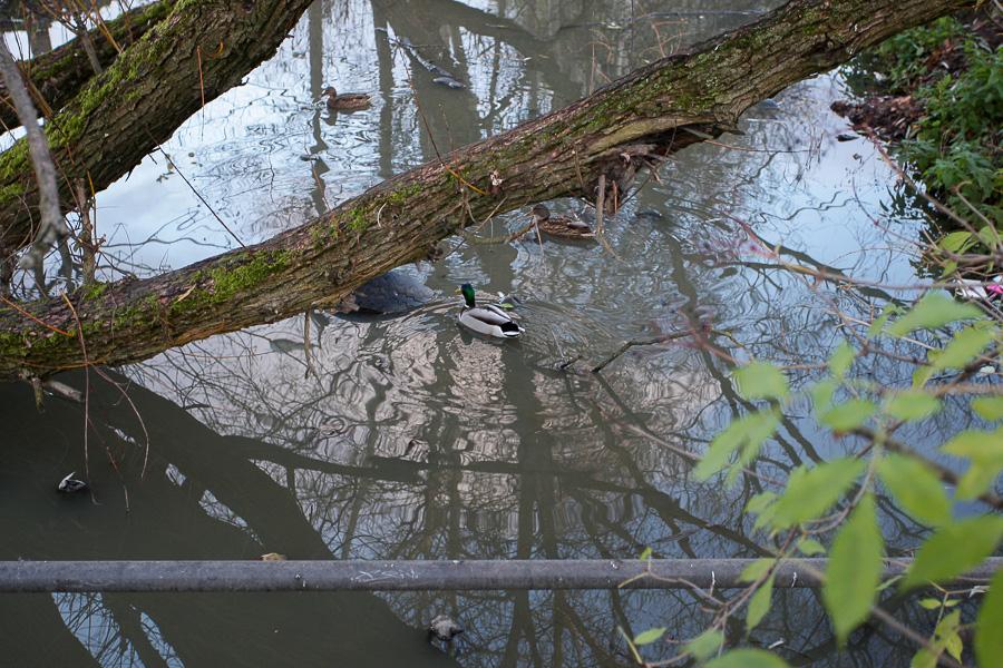 «Пока в никуда»: что происходит со строительством моста на Сельме