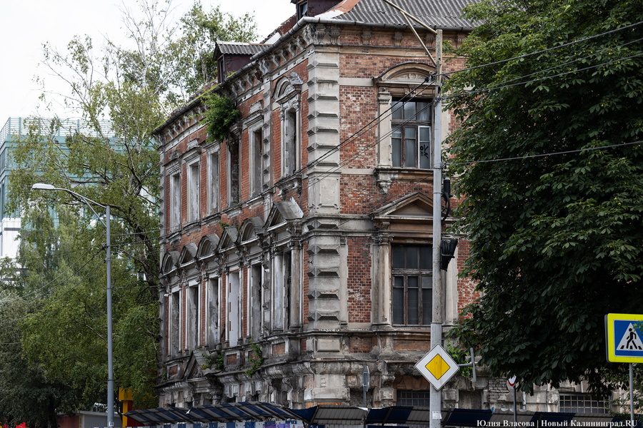 Фото: Юлия Власова / Новый Калининград