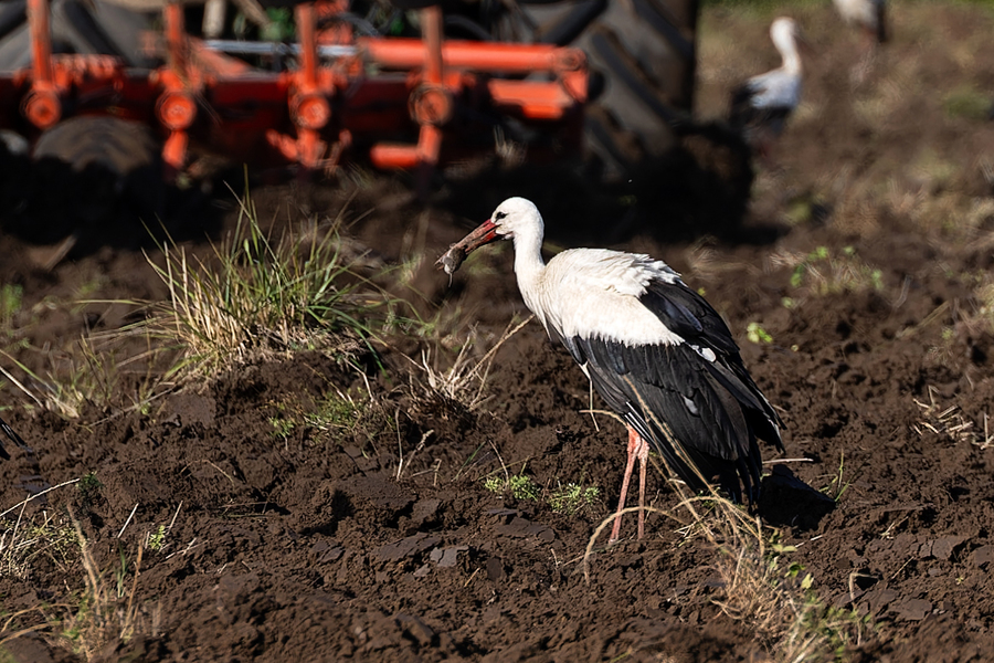 Губернатор: у молодежи растет интерес к сельскохозяйственным профессиям