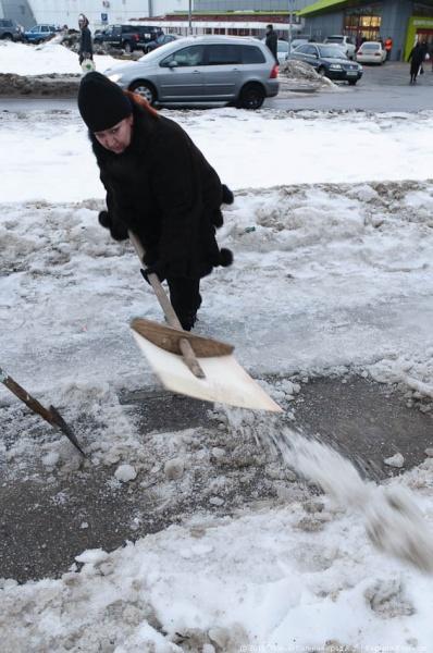 "В руки - лопаты-2": фоторепортаж "Нового Калининграда.Ru"