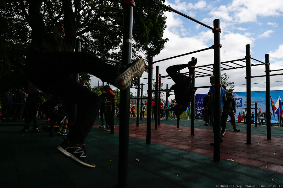 Воспитание улицей: как в Калининграде открывали площадку для воркаута