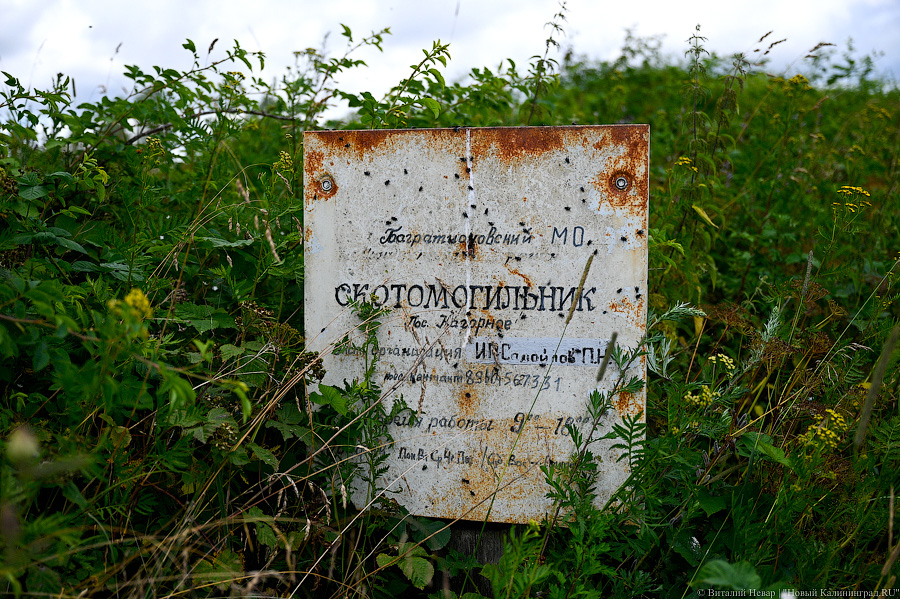 В регионе заработал завод по утилизации биологических отходов