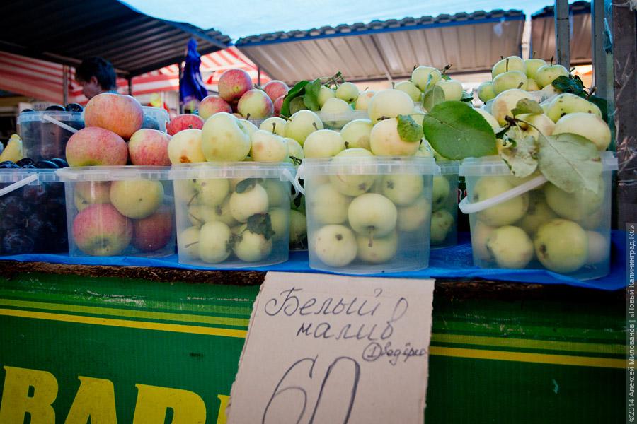 «Паники никакой нет»: что происходит с ценами на овощи и фрукты на рынке Калининграда