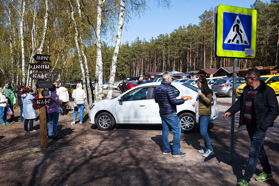 «Надо что-то делать, это нереально»: Куршская коса едва справляется с турпотоком