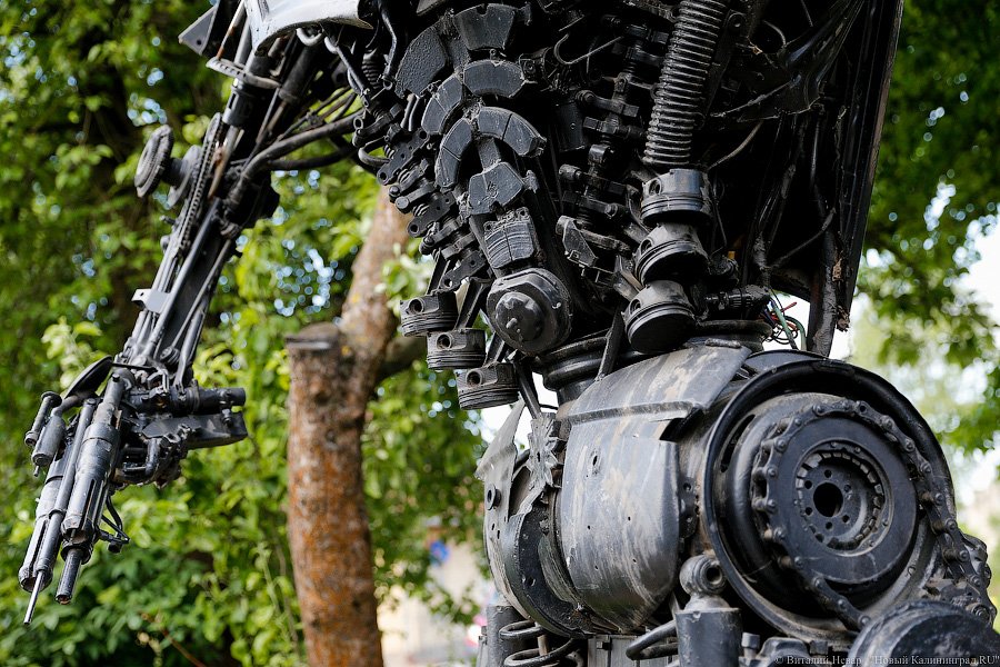 Смотришь на деталь и видишь хвост: житель Гвардейска создаёт трансформеров