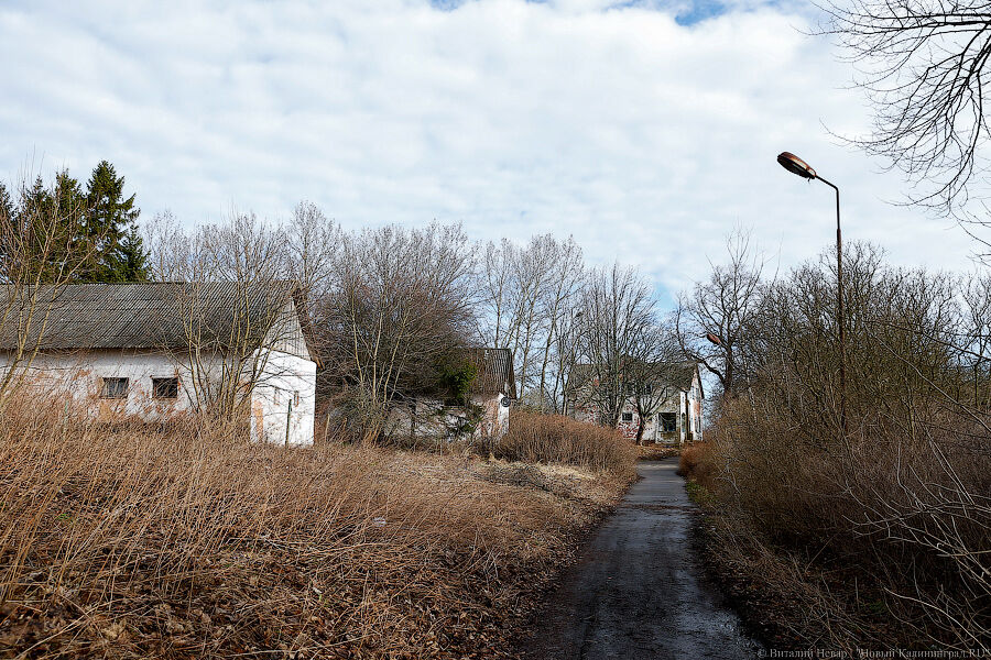 На концепцию молодежного центра на месте бывшей турбазы Балтфлота выделяют 627 тысяч рублей