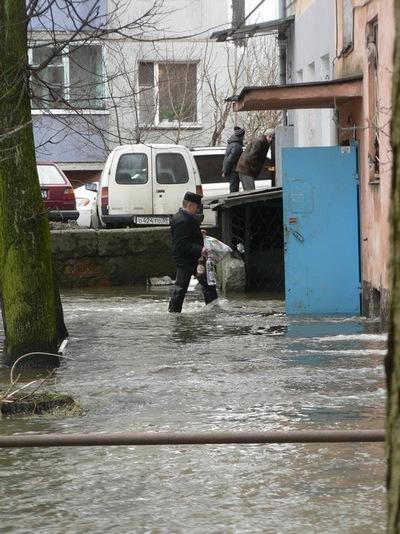 "Большая вода": фоторепортаж читателей "Нового Калининграда.Ru"