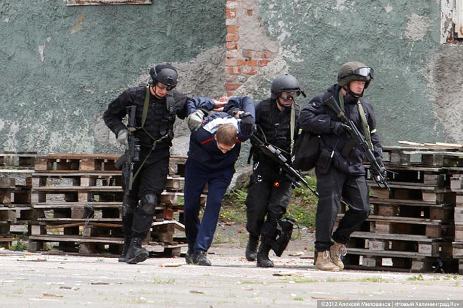 «Под флагом Башара»: фоторепортаж с антитеррористических учений