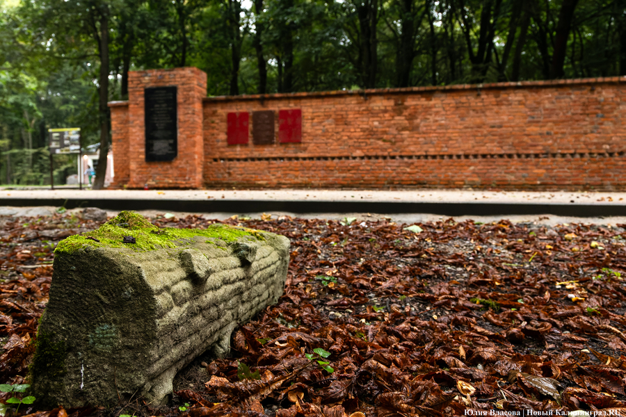 В Калининграде начали благоустраивать старое еврейское кладбище (фото)