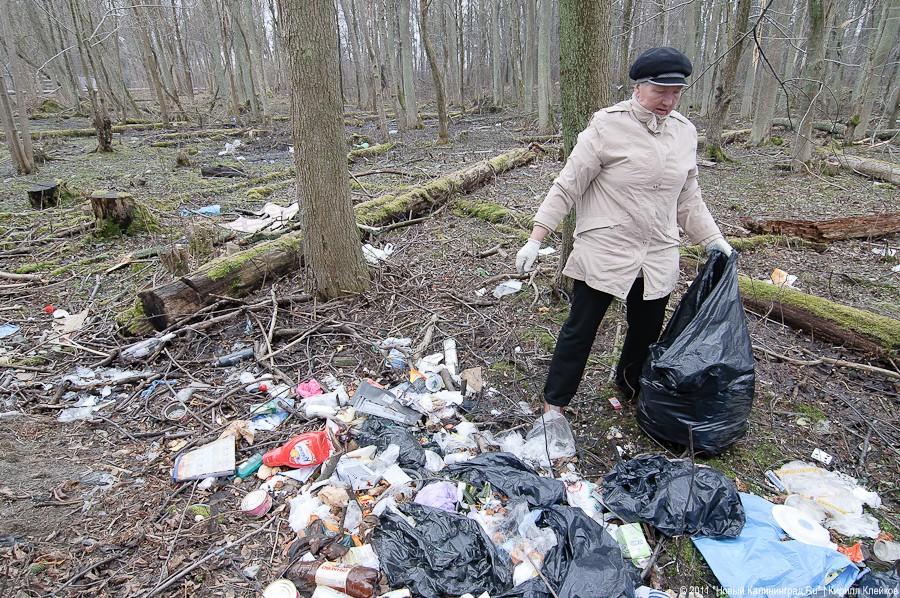 "Чистый лес: 115 на 40": фоторепортаж "Нового Калининграда.Ru" 