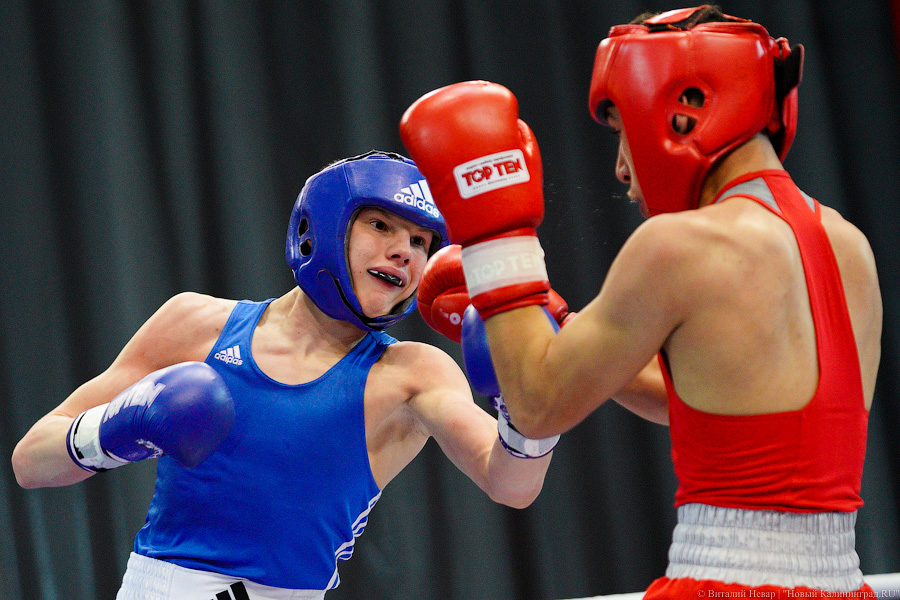 Очередной нокдаун: в Калининграде прошёл международный турнир по боксу «Янтарные перчатки»