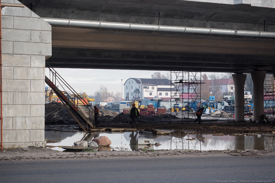 Фото — Виталий Невар, «Новый Калининград»